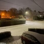 El Reino Unido ha sido golpeado por otra explosión de hielo y nieve y las temperaturas cayeron en picado anoche.