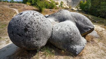 Comenzando como guijarros y creciendo aproximadamente dos pulgadas por milenio, las piedras de Trovant son estructuras minerales únicas que imitan la vida de las plantas y los mamíferos.