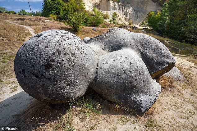 Comenzando como guijarros y creciendo aproximadamente dos pulgadas por milenio, las piedras de Trovant son estructuras minerales únicas que imitan la vida de las plantas y los mamíferos.