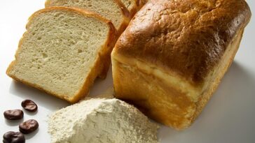Los británicos deberían comer pan hecho con habas, ya que es más saludable y mejor para el medio ambiente, dice un científico