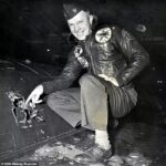 El capitán Royce Williams posa para una fotografía junto a un orificio de bala abierto en el fuselaje de su Panther que recibió 263 impactos durante su heroico combate aéreo contra los Mig rusos durante la Guerra de Corea en 1952.