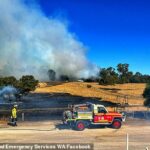 Los incendios forestales están comenzando a descontrolarse en áreas alrededor de Australia a medida que los servicios de emergencia se apresuran a sofocar las llamas antes de que amenacen seriamente vidas y hogares (en la foto, los bomberos de WA atendiendo las llamas en los estados del suroeste)