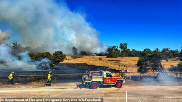 Los incendios forestales están comenzando a descontrolarse en áreas alrededor de Australia a medida que los servicios de emergencia se apresuran a sofocar las llamas antes de que amenacen seriamente vidas y hogares (en la foto, los bomberos de WA atendiendo las llamas en los estados del suroeste)