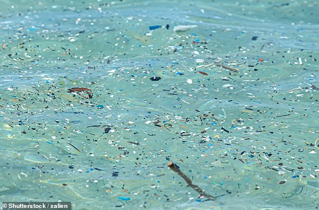 La cantidad de microplásticos encontrados en el fondo de los océanos se ha triplicado en 20 años, según han descubierto investigadores (imagen de archivo)