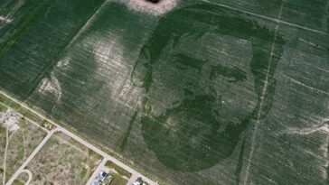 Un agricultor argentino ha cultivado una enorme imagen de 124 acres de Lionel Messi visible desde el espacio después de plantar un campo de maíz especialmente diseñado para celebrar las hazañas de la estrella en la Copa del Mundo.