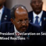 La declaración del presidente de Somalia sobre la seguridad atrae reacciones mixtas