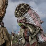 La deforestación pone en peligro la famosa reserva de la República Democrática del Congo