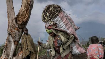 La deforestación pone en peligro la famosa reserva de la República Democrática del Congo