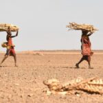 La inseguridad alimentaria de África persistirá debido al cambio climático y los conflictos