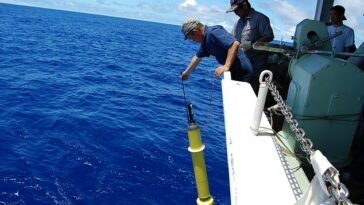 En 2022, los océanos de la Tierra recibieron 10 Zetta julios adicionales de calor, o 10 seguidos de 21 ceros, dice el nuevo estudio.  Los resultados se basaron en conjuntos de datos que compilan la temperatura y la salinidad del océano utilizando instrumentos como los perfiles Argo (flotadores robóticos a la deriva que se mueven con las corrientes oceánicas, en la imagen)
