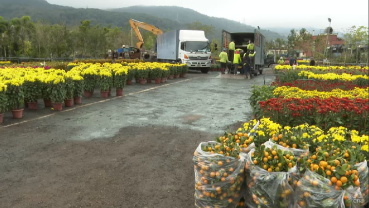 Las ventas de flores florecen mientras Hong Kong celebra el Año Nuevo chino con la mayoría de las restricciones de COVID-19 eliminadas