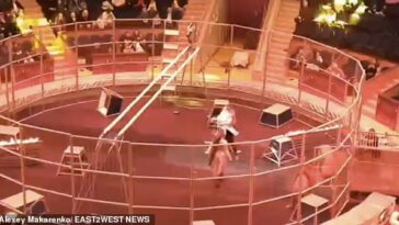 Un video muestra el horrible momento en que un león ataca a un conocido artista de circo en la pista de circo en el centro turístico del Mar Negro en Sochi.