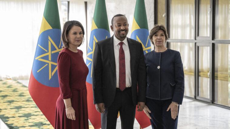 Los ministros de Relaciones Exteriores de Francia y Alemania elogian el progreso de la paz de Tigray en Etiopía