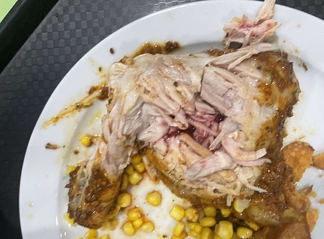 Una madre le dijo a MailOnline que en Outwood Academy Acklam, Middlesbrough, al amigo de su hijo le sirvieron pollo a medio cocinar, que parecía rosado por dentro (en la foto)
