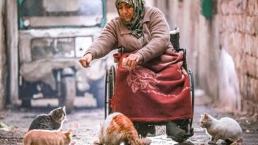 Madre siria cuida a su hijo discapacitado y a sus gatos