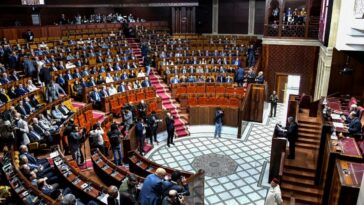 Marruecos vota para revisar los lazos con el Parlamento Europeo |  The Guardian Nigeria Noticias