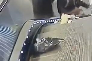 El video muestra los esfuerzos frenéticos para liberar a Misha después de que su cabeza y sus manos quedaran atrapadas entre la escalera mecánica y una partición de vidrio que sobresale al lado.