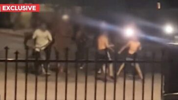 Algunos entre la pandilla de jóvenes que animaban a los niños a pelear también filmaron la pelea violenta, riéndose y gritando mientras lo hacían.