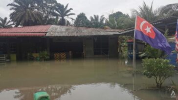 'Nos estamos cansando de esto': Angustia entre los aldeanos de Johor en medio de inundaciones recurrentes