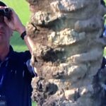 Patrick Reed en la controversia de las nuevas reglas sobre la pelota atrapada en el árbol