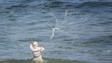 Pescador de Gaza obtiene un nuevo motor fuera de borda después de una década de espera, mientras Israel relaja los bordillos