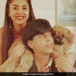 Of Course Gauri Made It To Shah Rukh Khan