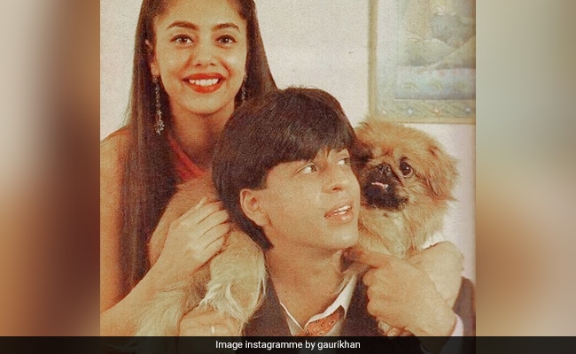 Of Course Gauri Made It To Shah Rukh Khan