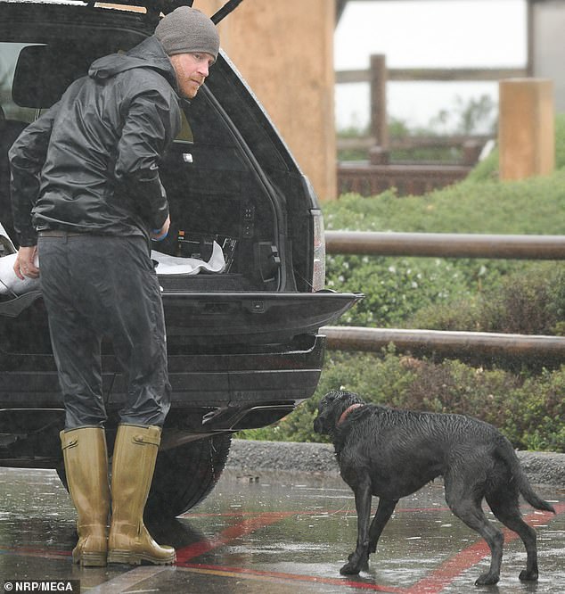 Harry paseando a su perro solo bajo una lluvia torrencial en una tranquila playa de California esta semana