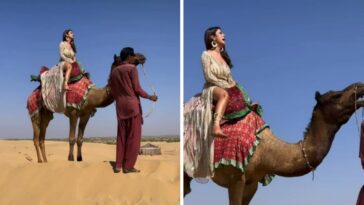 Shehnaaz Gill se asusta mientras monta un camello, grita 'Amma, Mama';  los fanáticos la llaman 'tan linda'.  Mirar