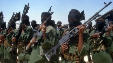 Siete soldados somalíes muertos en ataque de Al-Shabaab |  The Guardian Nigeria Noticias