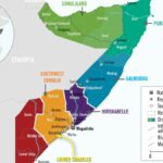 Somalia da la bienvenida al asesinato del líder del Estado Islámico