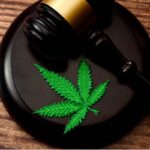 Superar una condena por cannabis para entrar en Canadá