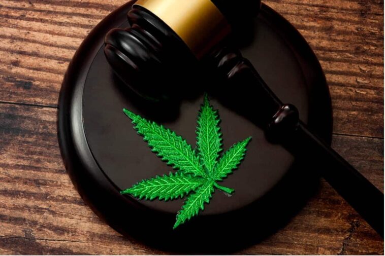 Superar una condena por cannabis para entrar en Canadá