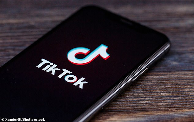 TikTok, que es propiedad de la empresa ByteDance con sede en Beijing, ya ha sido prohibido en todos los dispositivos que pertenecen y son administrados por la Cámara de Representantes de EE. UU. (foto de archivo)