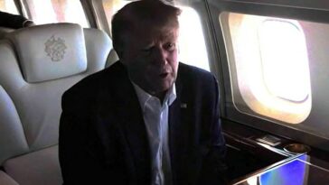 A bordo de su avión el sábado, Donald Trump intervino en la controversia que rodea al mentiroso representante George Santos al comparar al congresista republicano con el presidente Joe Biden porque ambos 'dijeron algunas mentiras'