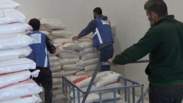 UNRWA: Turkiye proporciona todo el trigo necesario para los refugiados de Gaza