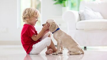 Los niños pequeños, incluso antes de los dos años, instintivamente quieren ayudar a los perros, según un estudio (imagen de archivo)