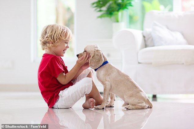 Los niños pequeños, incluso antes de los dos años, instintivamente quieren ayudar a los perros, según un estudio (imagen de archivo)