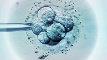Las pruebas de fertilidad, ahora disponibles en las calles principales del Reino Unido, indican cuántos óvulos les quedan a las mujeres para concebir un bebé y qué tan fértiles son.