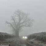 La niebla helada provocó interrupciones en el sur de Gran Bretaña esta mañana, con vuelos cancelados, advertencias meteorológicas emitidas y condiciones de conducción traicioneras en las horas pico.