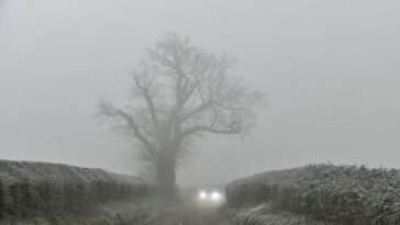 La niebla helada provocó interrupciones en el sur de Gran Bretaña esta mañana, con vuelos cancelados, advertencias meteorológicas emitidas y condiciones de conducción traicioneras en las horas pico.