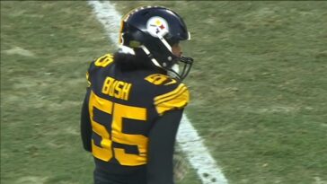 Beat Writer pone las posibilidades de que los Steelers vuelvan a firmar a Devin Bush en un 1% - Steelers Depot