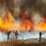 Chile mantiene emergencia por incendio forestal