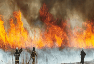 Chile mantiene emergencia por incendio forestal