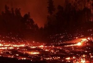 Chile tiene más de 300 incendios forestales activos