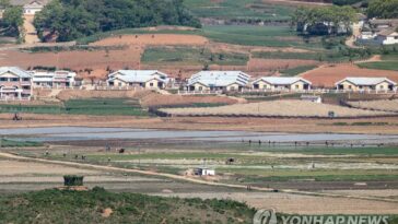 N. Korea cracks down on grain trade at markets, food supply likely disrupted: Seoul ministry