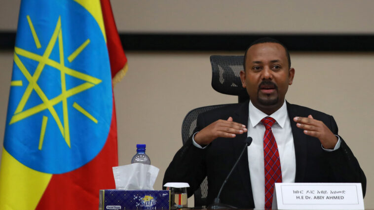 Etiopía celebra referéndum sobre nuevo estado regional |  The Guardian Nigeria Noticias