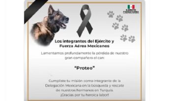 Fuerzas armadas mexicanas rinden homenaje a Proteo, el perro rescatado que murió en Turquía (VIDEO)