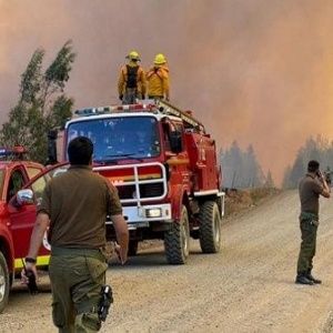 Incendios forestales en la zona centro-sur de Chile dejan cuatro muertos - Gob.