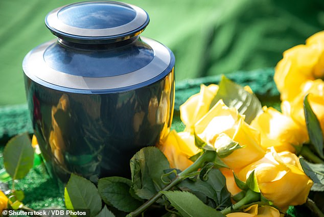 Las alternativas ecológicas al entierro y la cremación podrían estar en camino